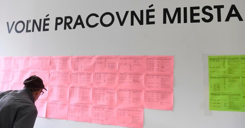 Na pracovny trh prichadzaju absolventi Ich predstavy sa casto stretavaju s realitou