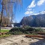 Stromy na Vajanskeho namestii vzbudili vasne Primator Martina celi kritike za svoje vyjadrenia