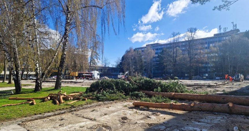 Stromy na Vajanskeho namestii vzbudili vasne Primator Martina celi kritike za svoje vyjadrenia
