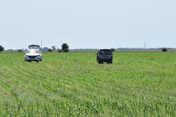 dvaja zufali zlodeji ukradli auto a rozoberali ho priamo na poli v cele uz cakaju na rozhodnutie sudu