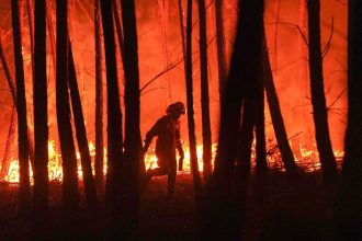 Francuzsko Spanyolko a Portugalsko postihli rozsiahle lesne poziare