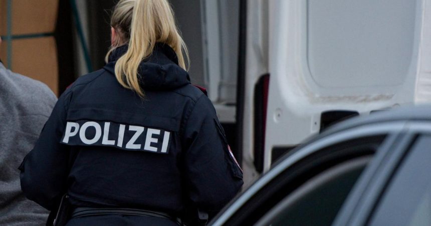 Muz v Rakusku zabil sekerou partnera svojej byvale j priatelky
