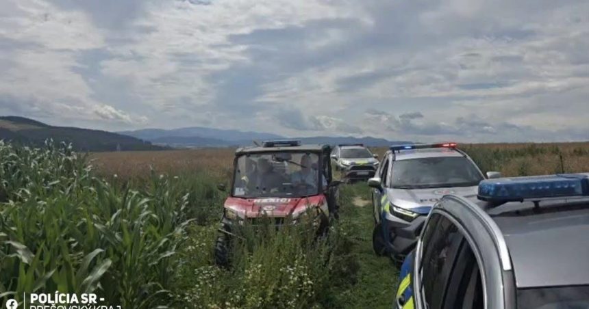 Nasiel sa chlapec strateny v kukuricnom poli Je zivy bol v lese