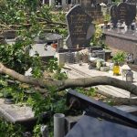 Po nicivej burke hrozi pad konarov aj stromov V meste uzavreli Zamocky park a mestski cintorin