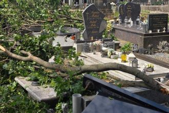 Po nicivej burke hrozi pad konarov aj stromov V meste uzavreli Zamocky park a mestski cintorin