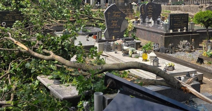 Po nicivej burke hrozi pad konarov aj stromov V meste uzavreli Zamocky park a mestski cintorin