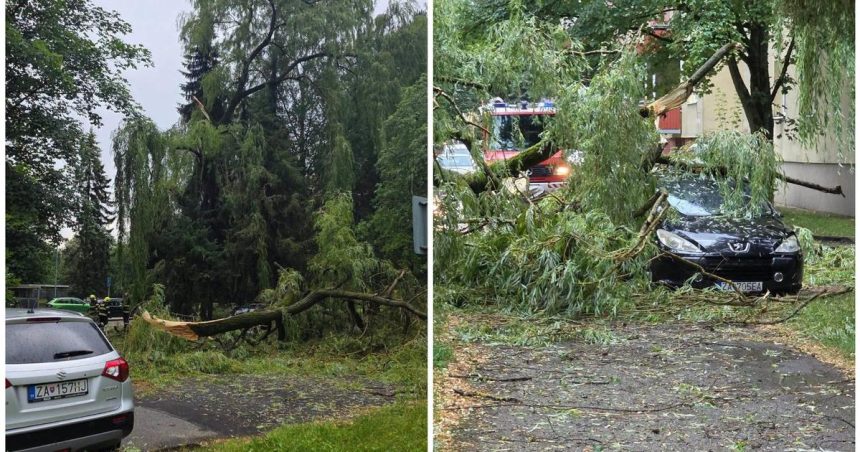 Polamane stromy silny vietor a krupobitie Zilinou presla silna burka a vyrazne sa ochladilo