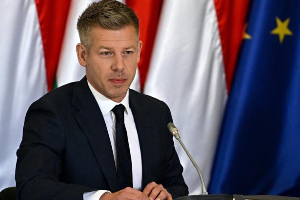 Sulyok vzdy uprednostnoval zaujmy Fideszu vyhlasila madarsky premier Magyar