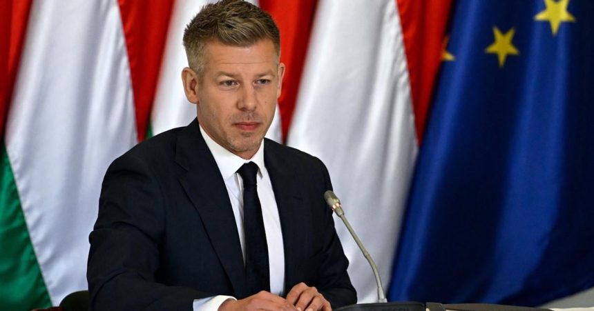 Sulyok vzdy uprednostnoval zaujmy Fideszu vyhlasila madarsky premier Magyar
