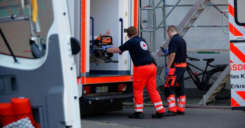 V Nemecku uz tento rok zaznamenali viac ako 800 umrti souvisiacich s horucavami