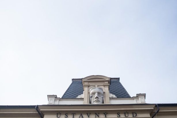 vyhnutia z dlhovej brzdy su mozne len pri nahlych a neocakavanich okolnostiach
