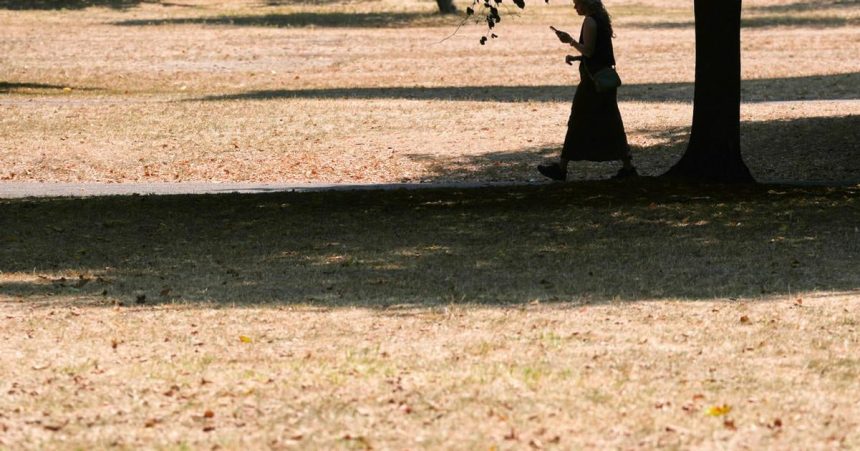 Anglicko a Wales zazili najsuchsi jul v historii merani