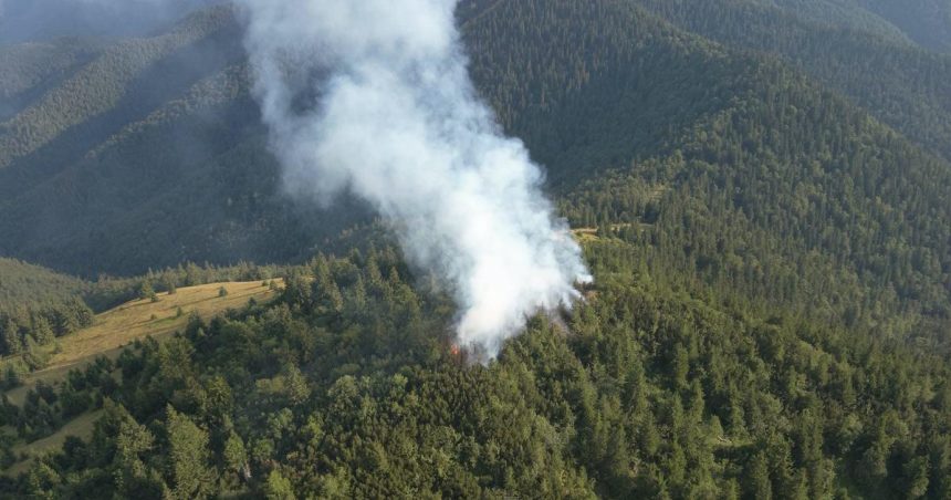Lesny poziar v Narodnom parku Velka Fatra bol zlikvidovany