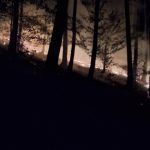 Ohen mohol sposobit obrovske skody desiatky hasicov vyrazili k nocnemu poziaru lesa