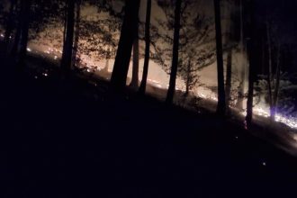 Ohen mohol sposobit obrovske skody desiatky hasicov vyrazili k nocnemu poziaru lesa