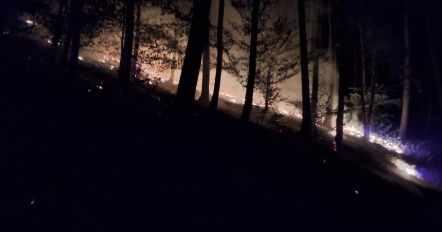 Ohen mohol sposobit obrovske skody desiatky hasicov vyrazili k nocnemu poziaru lesa