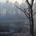 V belgickom prirodnom parku Hautes Fagnes zhorelo uz 3000 hektarov lesa
