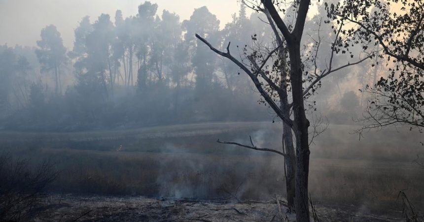 V belgickom prirodnom parku Hautes Fagnes zhorelo uz 3000 hektarov lesa