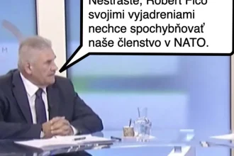 Cynická obluda: Ficove vyhlásenia bez následkov