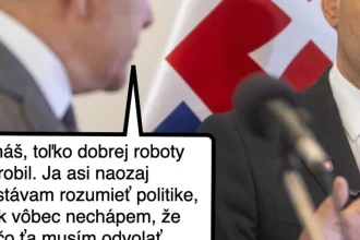 Cynická obluda: Ficovi vysvetlené polopate