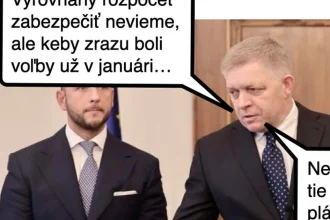 Cynická obluda: Predčasné voľby – zodpovedné fiškálne rozhodnutie?
