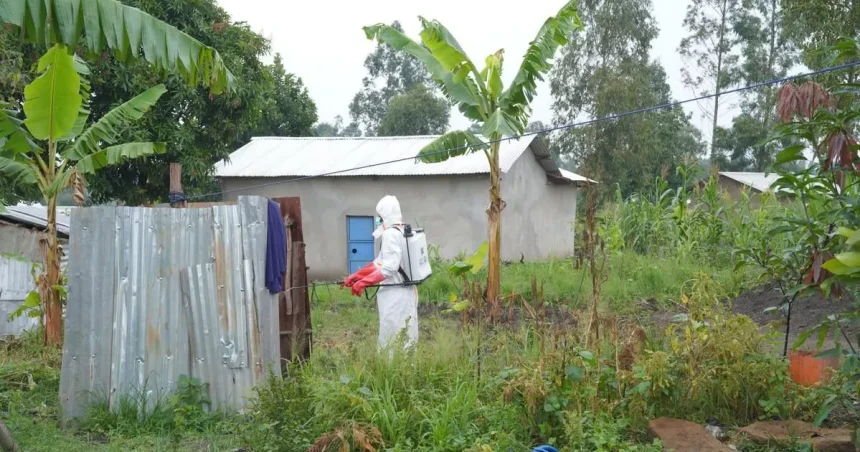 Ebola sa šíri ďalej: od začiatku epidémie už zaznamenali viac než 8000 prípadov