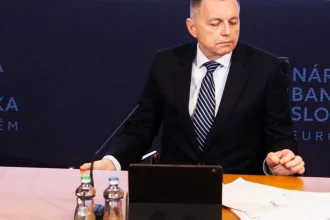 Ekonomiku drží nad vodou ochota Slovákov míňať. Podľa Kažimíra sa prispôsobili stresu