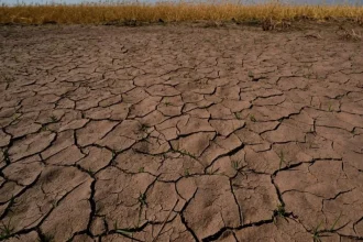 El Niño narúša každodenný život miliónov detí v Latinskej Amerike