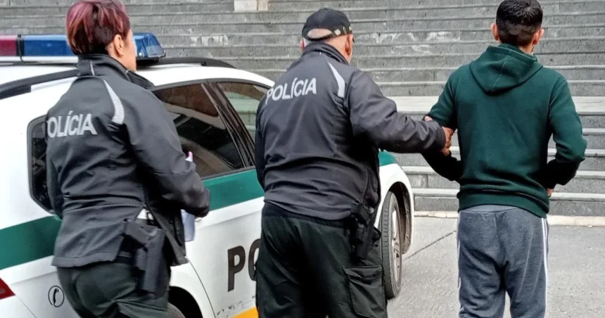 Muž sekerou búchal po dverách a vyhrážal sa družke smrťou, tá s deťmi ušla oknom