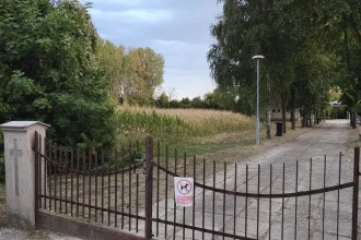 Na cintoríne pestujú obilniny, pred rokom pšenicu, teraz kukuricu, ľudia to nahlásili
