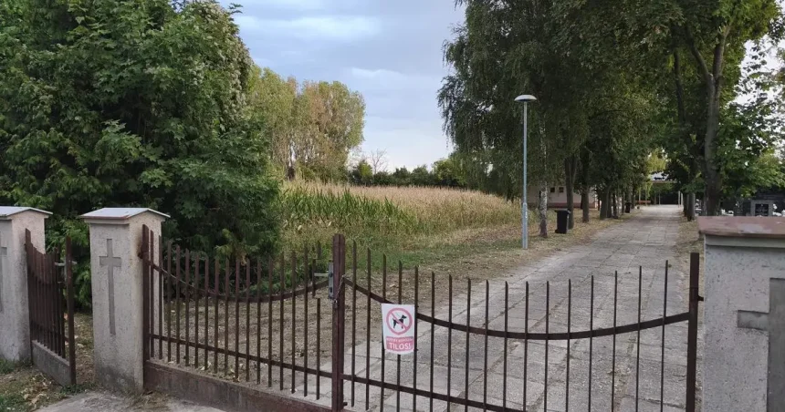 Na cintoríne pestujú obilniny, pred rokom pšenicu, teraz kukuricu, ľudia to nahlásili