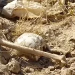 Na Srí Lanke objavili archeológovia významné staroveké nálezisko
