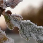 Na strednom a východnom Slovensku platia výstrahy pred búrkami