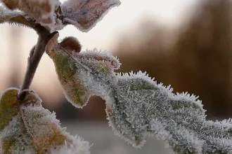 Na strednom a východnom Slovensku platia výstrahy pred búrkami