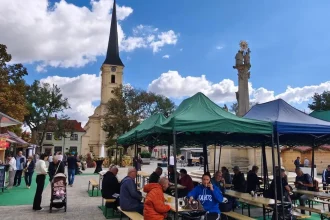 Oberačky sa začali, burčiak je sladký. Vinohrad nesklamal, tvrdí vinár