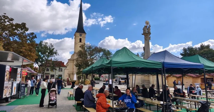 Oberačky sa začali, burčiak je sladký. Vinohrad nesklamal, tvrdí vinár