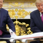 Pandy ako ambasádori priateľstva medzi národmi
