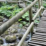 Pohyb na obľúbenom turistickom chodníku môže byť nebezpečný. V Terchovej vydali výstrahu