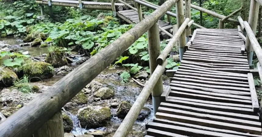 Pohyb na obľúbenom turistickom chodníku môže byť nebezpečný. V Terchovej vydali výstrahu
