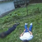 Polícia prenasledovala ukradnuté auto až do lesa