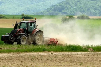 Poľnohospodári na juhu Slovenska čelia vážnym problémom
