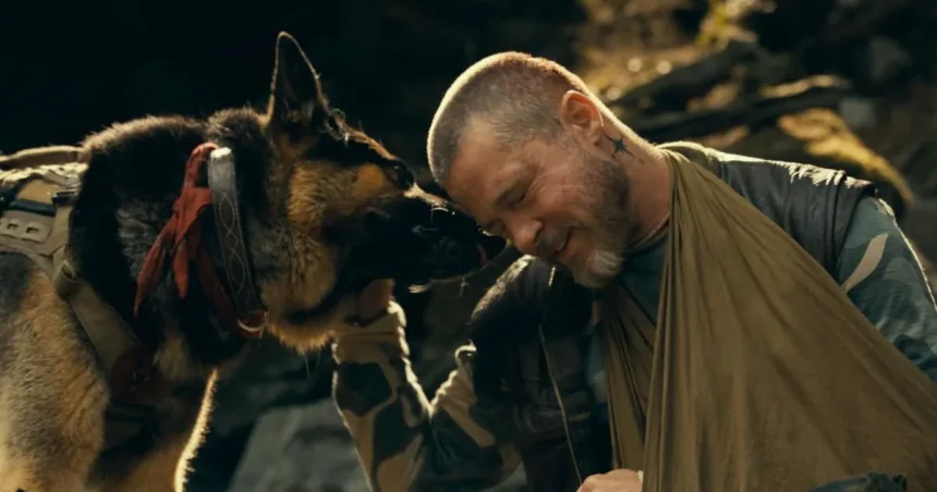 Prežije pes? Brad Pitt bojuje o život, no zatienil ho nemecký ovčiak