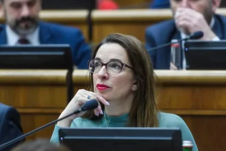 Progresívne Slovensko kritizuje krátenie prídavkov