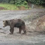 Situácia v súvislosti s výskytom ochorenia na Slovensku