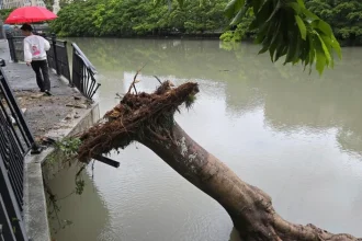 Tajfún Dujuan zabil v Japonsku najmenej štyroch ľudí