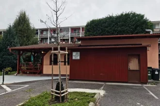 V Ružinove spustili odstraňovanie čiernej stavby.