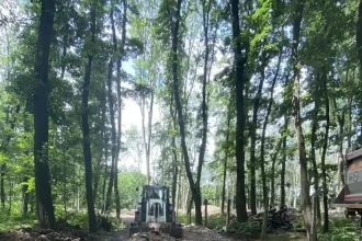 Za čiernymi stavbami v lese stojí on, do stráže tlačil svojho. Úrad to stopol