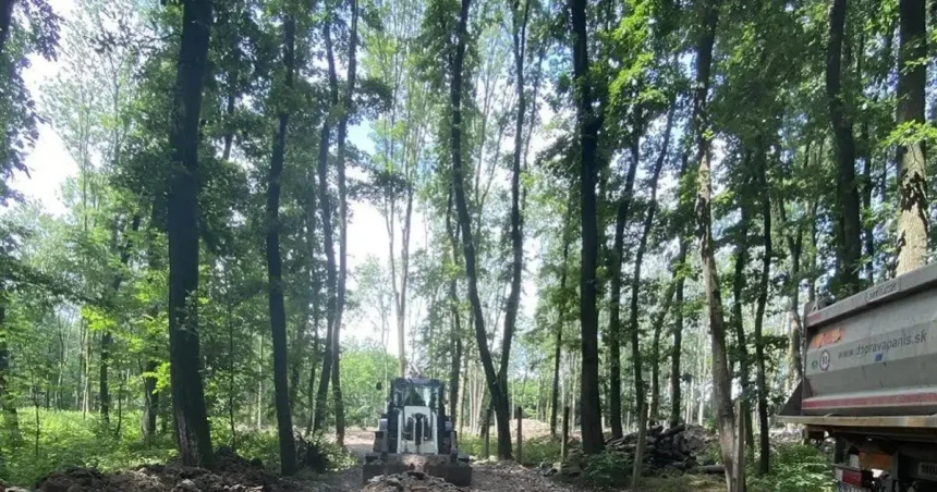Za čiernymi stavbami v lese stojí on, do stráže tlačil svojho. Úrad to stopol