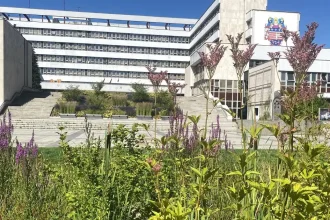 Aký je plán pre Košice? Kandidáti na primátora hovoria, ako chcú ozdraviť rozpočet