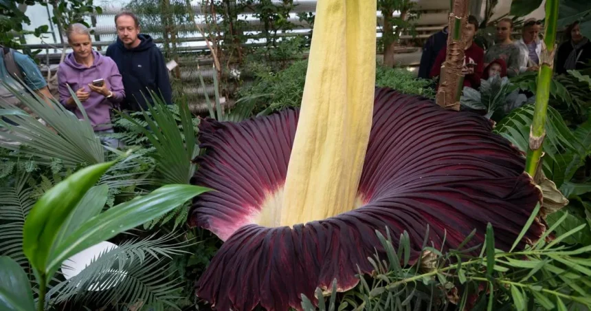 Botanická záhrada UK sa od novembra pre verejnosť zatvára